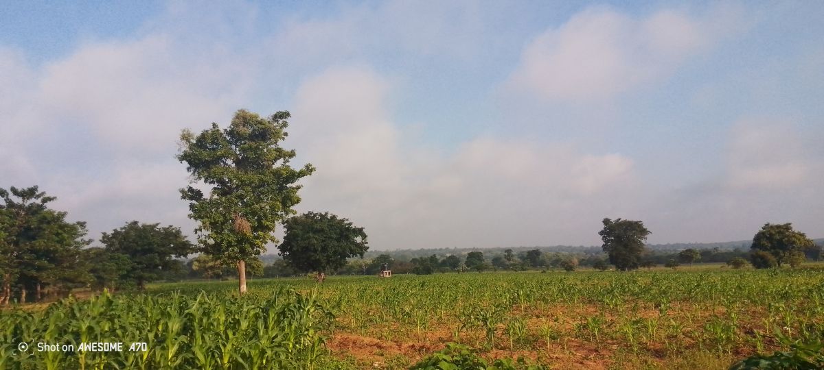 Weather Photos in Benin. Weather forecasts with beautiful photos by Yante61