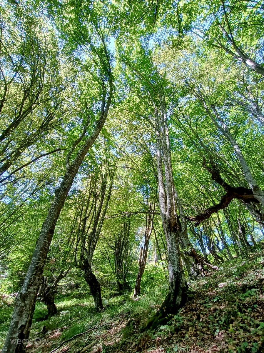 Fotos do tempo em Lovech. Previsões do tempo com lindas fotos de Genadi Ivanov