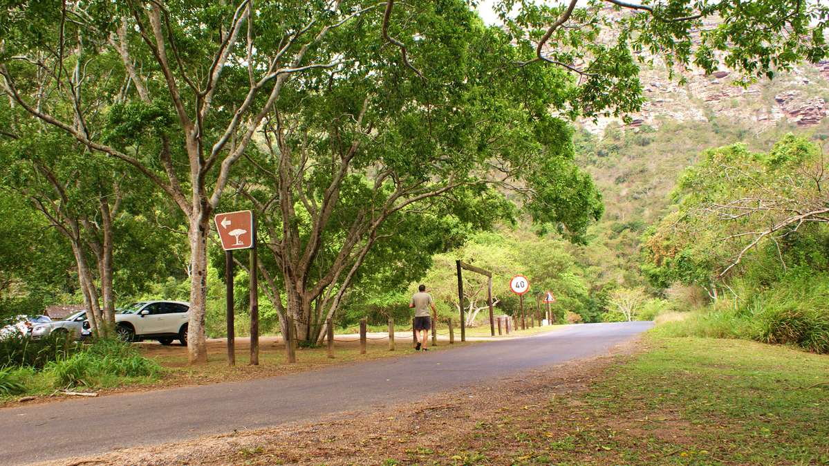 Weather Photos in KwaZulu-Natal. Weather forecasts with beautiful photos by Photograper