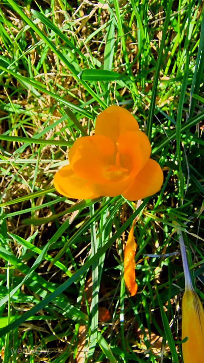 Fotografos Seni, Fotos do tempo em Velbert - Weawow