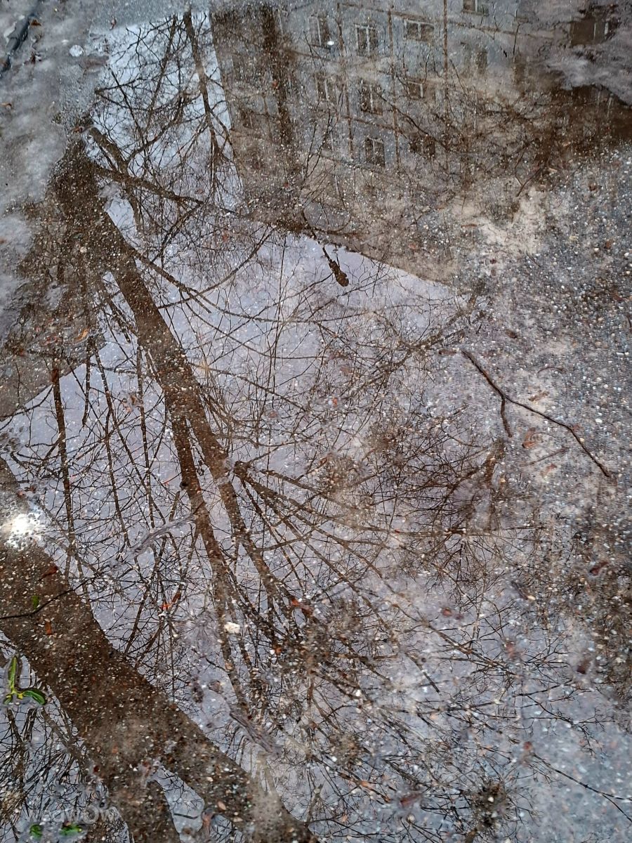 Photographer Iryna, Weather Photos in Kharkiv - Weawow