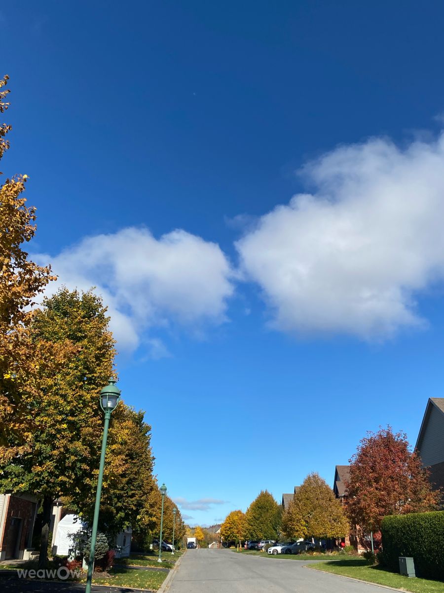 Photograph Lulu5523, Wetter Photos le Plateau - Weawow