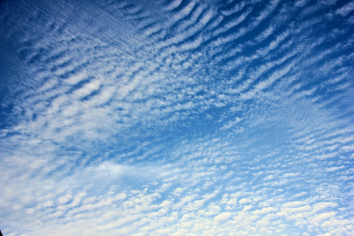 Weather forecasts with beautiful photos by BijanZ