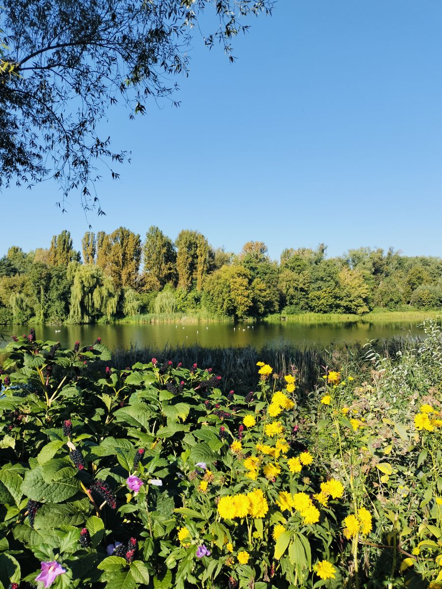 Фотографии Погоды в Белая Церковь. Прогнозы погоды с чудесными фотографиями, сделанными Маргарита Котенко