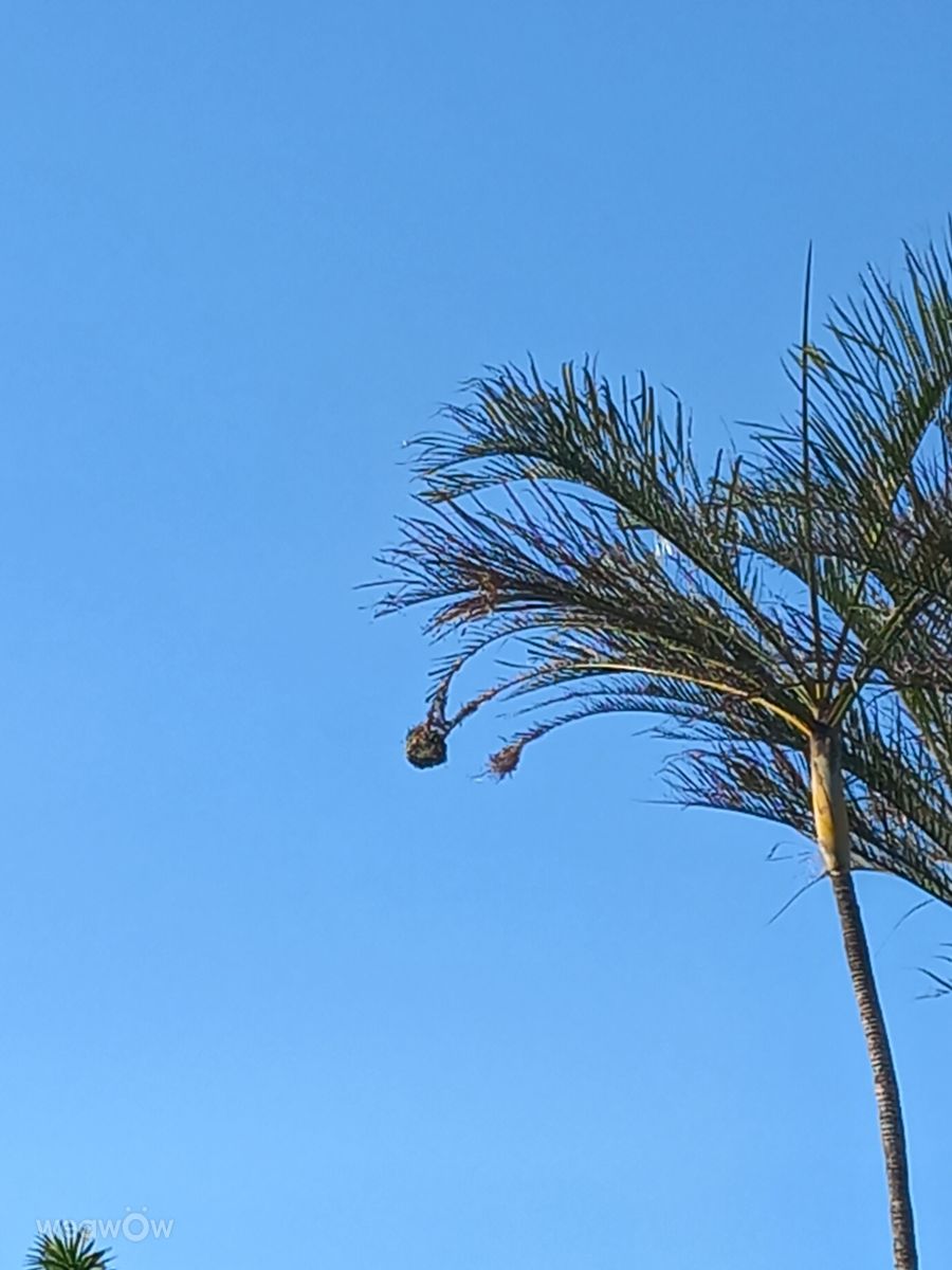 Weather Photos in South Africa. Weather forecasts with beautiful photos by Mirelle
