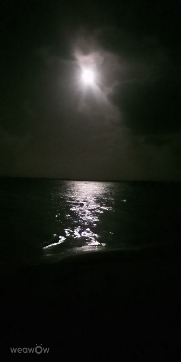 Photos météo à Carnarvon. Prévisions météo avec de superbes photos de WelshAussie