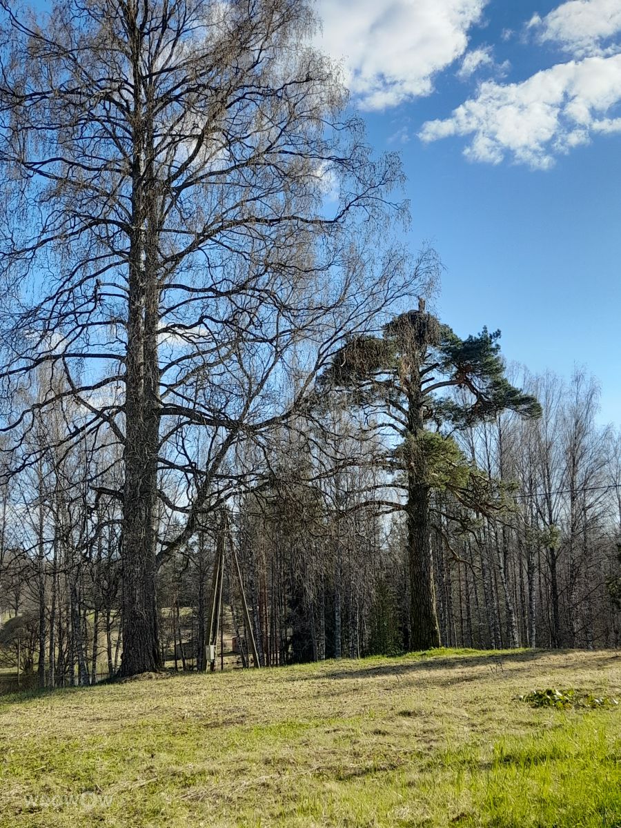 Weather Photos in Balvi Municipality. Weather forecasts with beautiful photos by Ēriks Purviņš