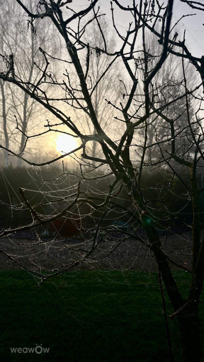 摄影师 Stassy，Teshkovo的天气照片 - Weawow