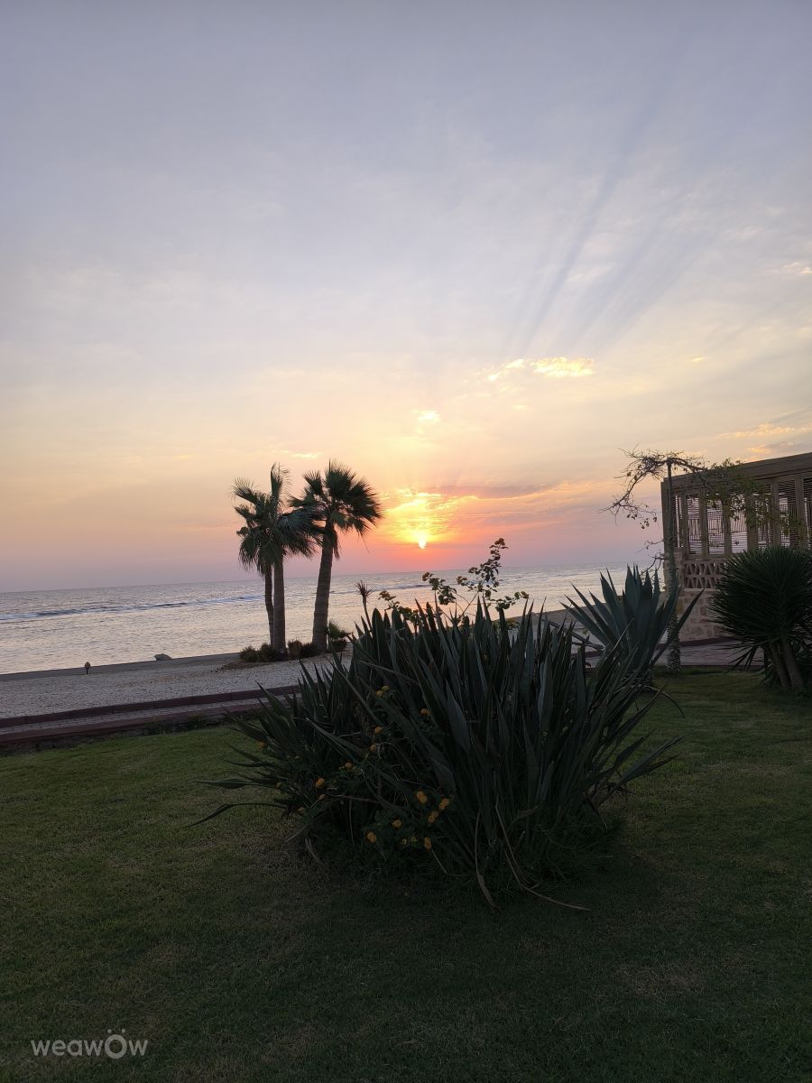 Weather Photos in Egypt. Weather forecasts with beautiful photos by ZloBr