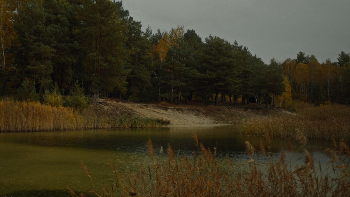 Фотографии Погоды в Brest. Прогнозы погоды с чудесными фотографиями, сделанными RuslanLeuliukh