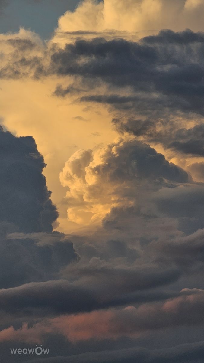 Fotos sobre el clima en Yakhroma. Pronósticos del tiempo con hermosas fotos de Stroganov_4