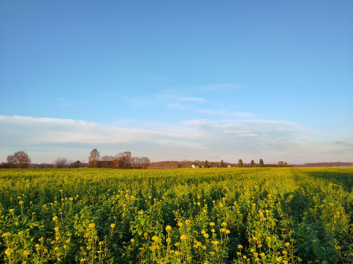 Fotos sobre el clima en Alemania. Pronósticos del tiempo con hermosas fotos de Travellina