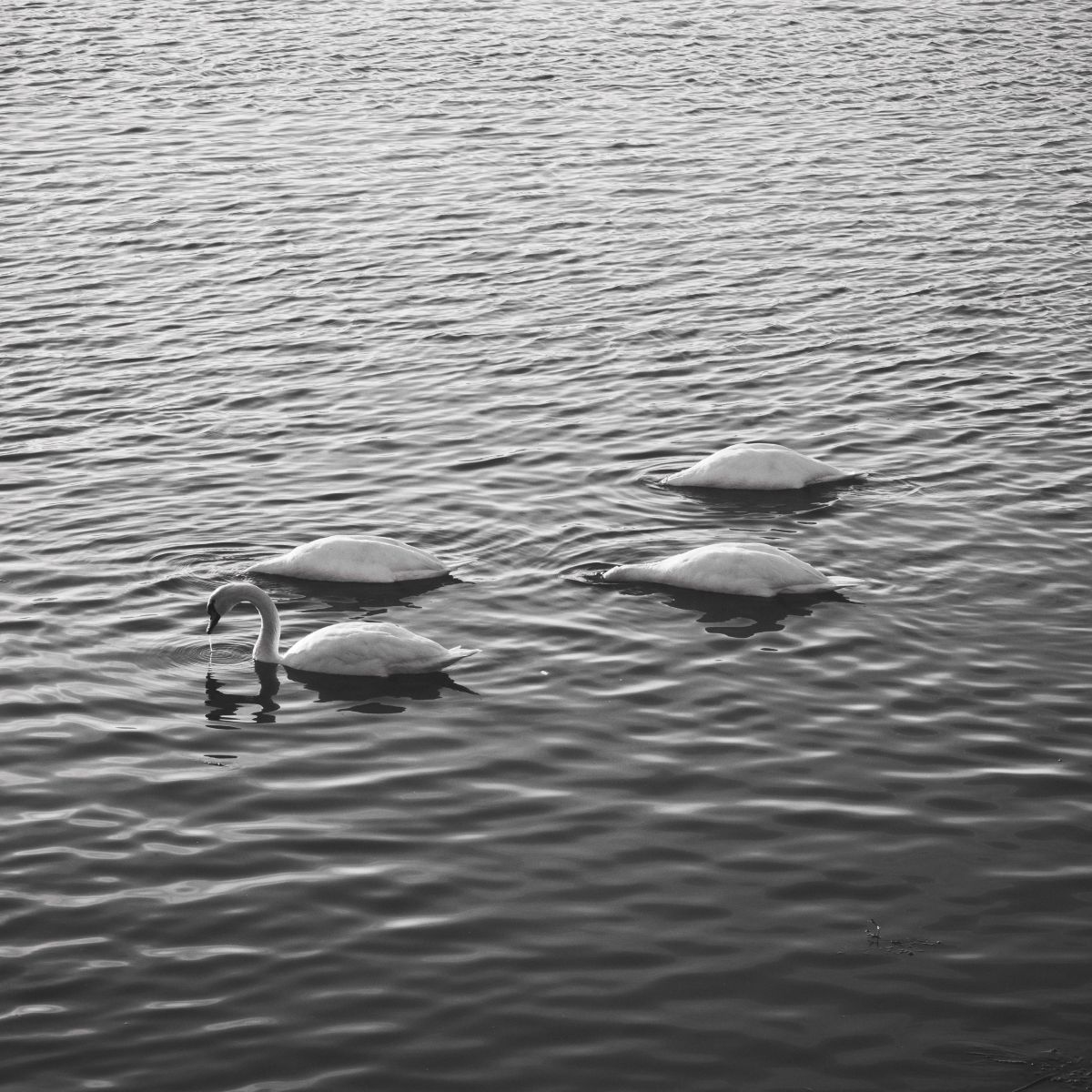 Fotos do tempo em Râmnicu Vâlcea. Previsões do tempo com lindas fotos de Evgeniy79