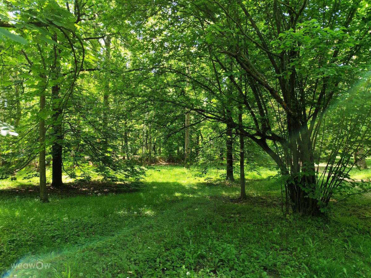 Templomkertの天気写真. sloaraiの美しい写真による天気予報
