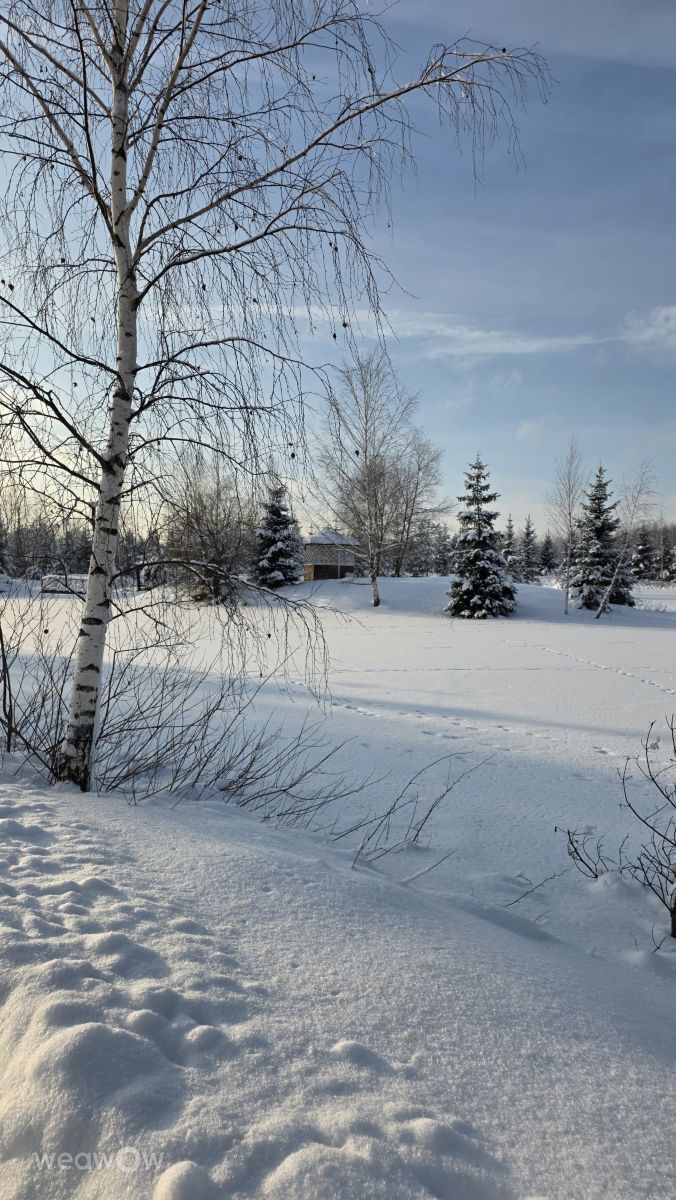 Fotos sobre el clima en Dmítrov. Pronósticos del tiempo con hermosas fotos de Stroganov_4