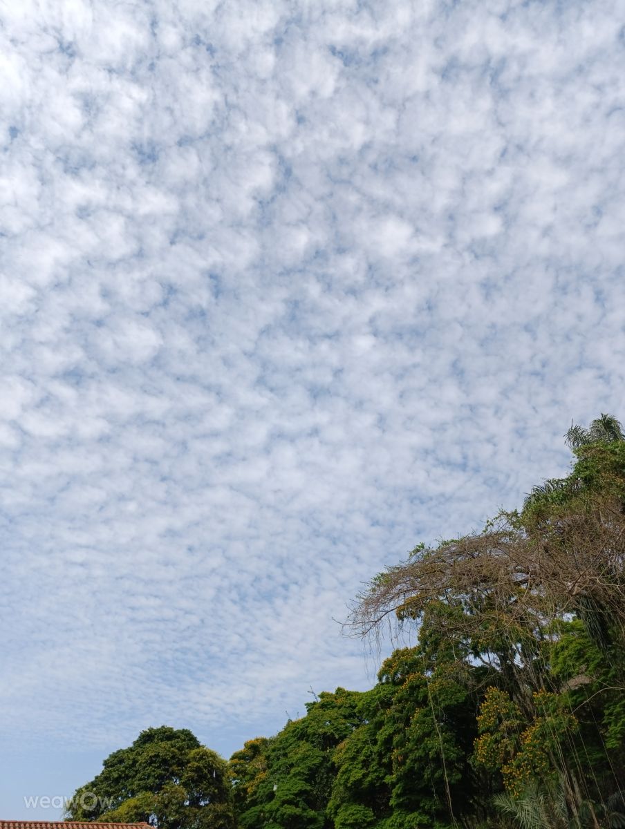 Weather Photos in Samambaia. Weather forecasts with beautiful photos by Kimivagner