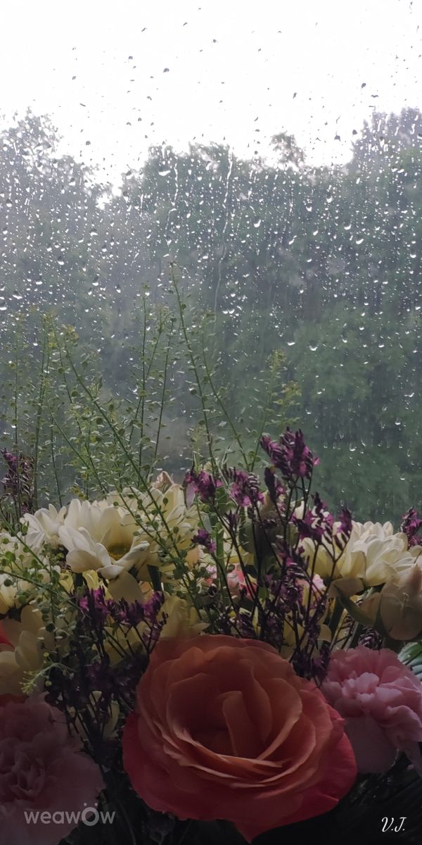 パランガの天気写真. Jazzinevirgaの美しい写真による天気予報