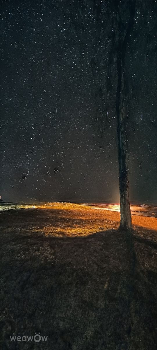 ズヴェニゴロドの天気写真. Ратиборの美しい写真による天気予報