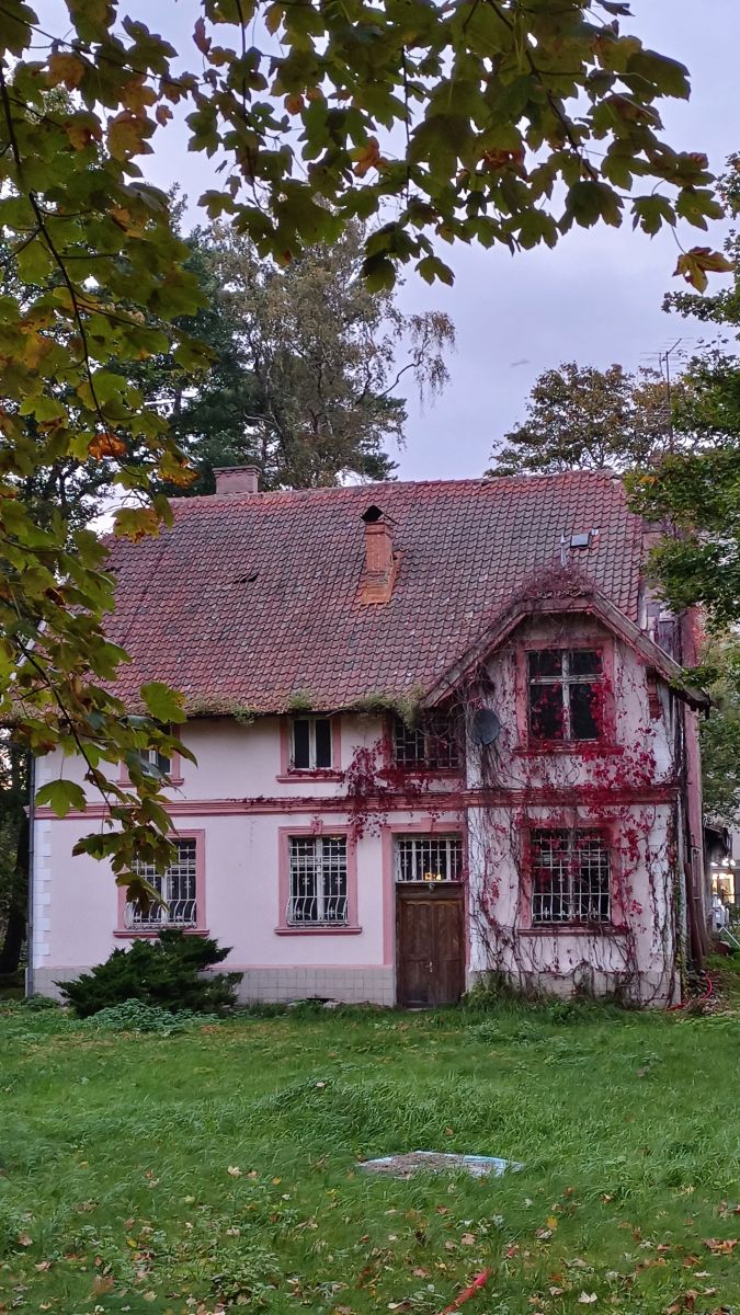 Photos météo à Kaliningrad Oblast. Prévisions météo avec de superbes photos de Михаил Бондаренко