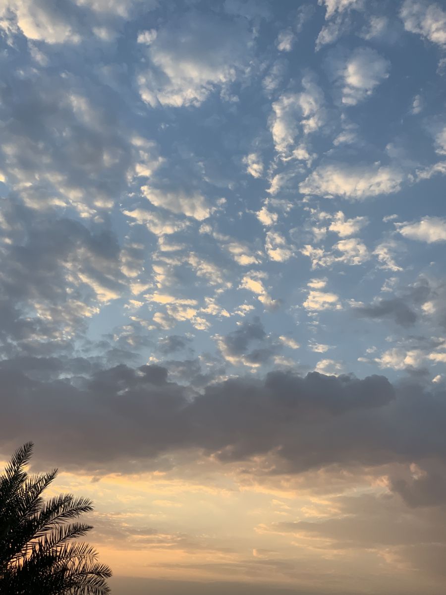 Weather Photos in Oman. Weather forecasts with beautiful photos by Tameem88