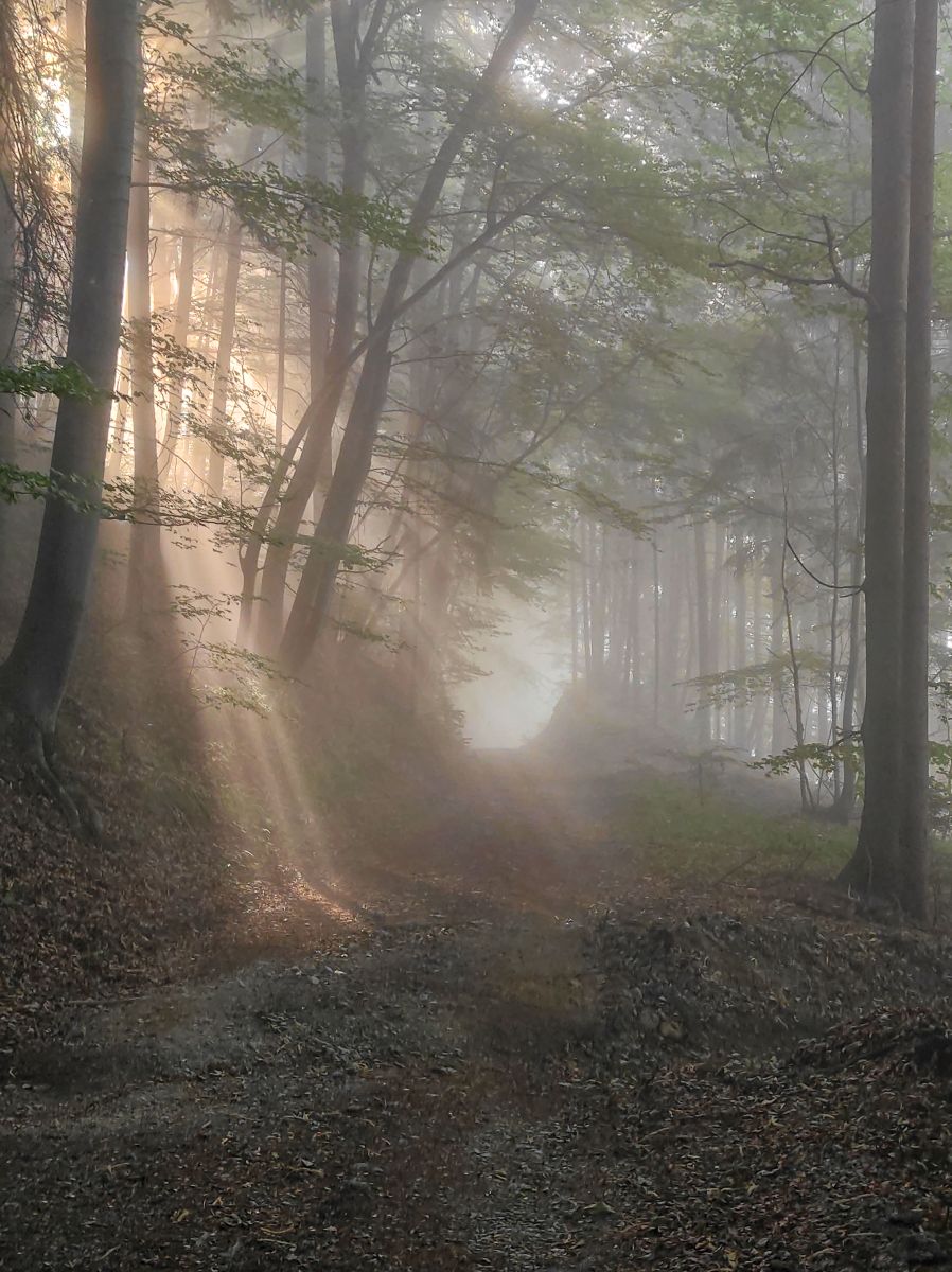 Weather forecasts with beautiful photos by Buros