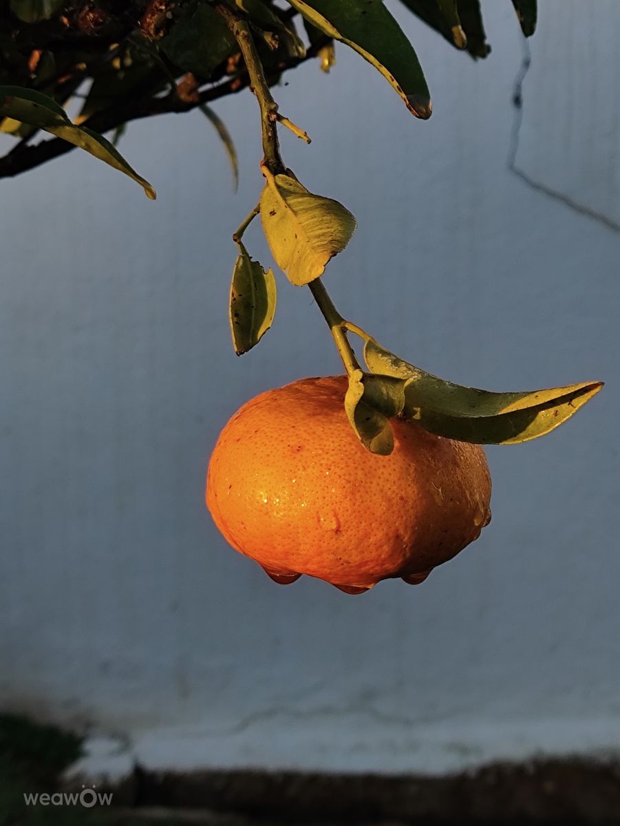 Фотографии Погоды в Praia do Carvoeiro. Прогнозы погоды с чудесными фотографиями, сделанными Brtd