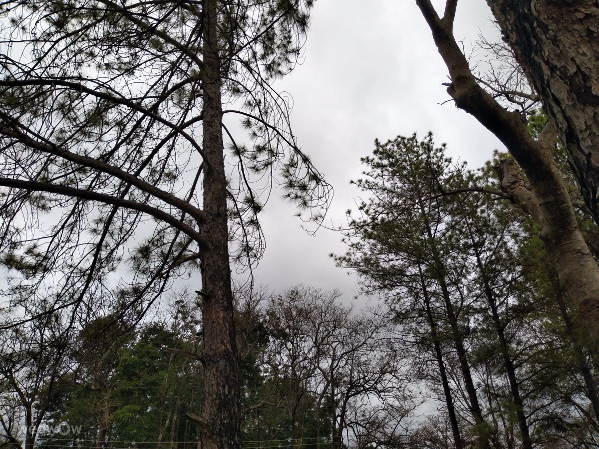Weather Photos in Malawi. Weather forecasts with beautiful photos by Eastern Soundz