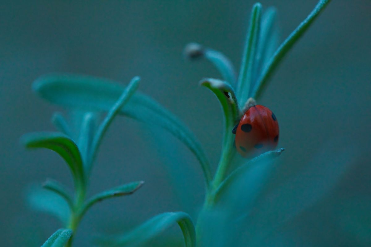 グダニスクの天気写真. martinm611の美しい写真による天気予報