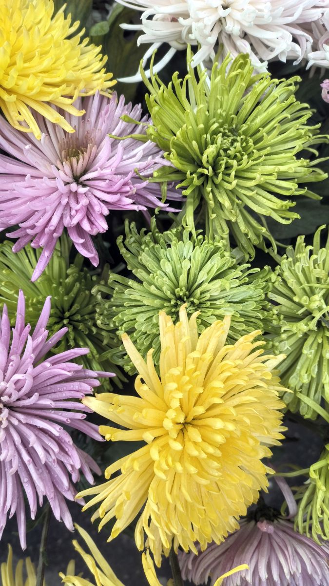 Fotos sobre el clima en Strada Bozieni 6. Pronósticos del tiempo con hermosas fotos de YanBog