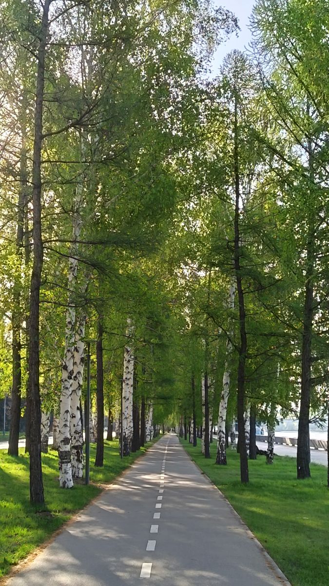 Weather forecasts with beautiful photos by ЮлЯШа