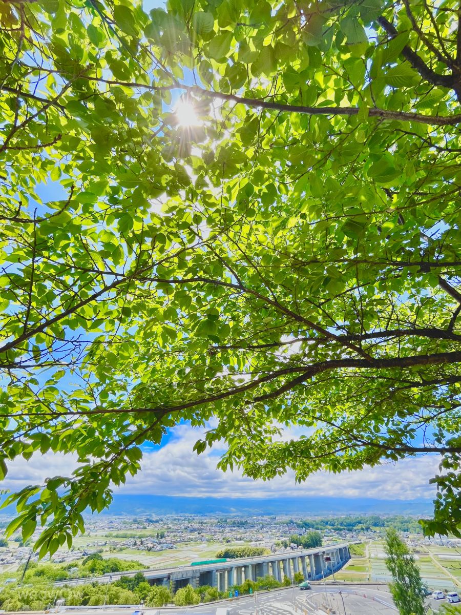 Weather Photos in Saku-shi. Weather forecasts with beautiful photos by Kasumisou