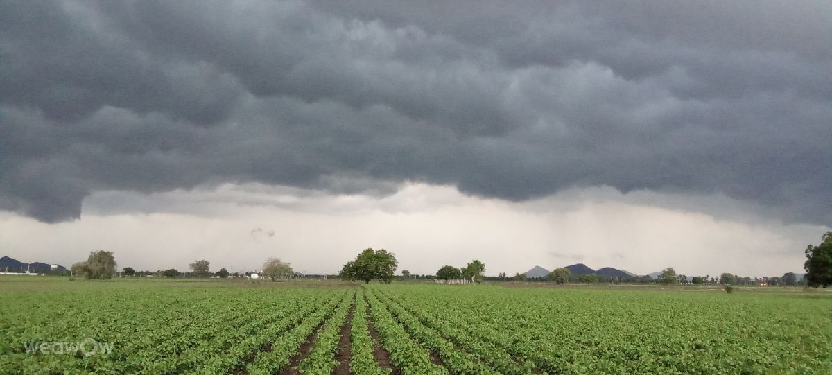 Weather forecasts with beautiful photos by Imadabattini Bosu Babu