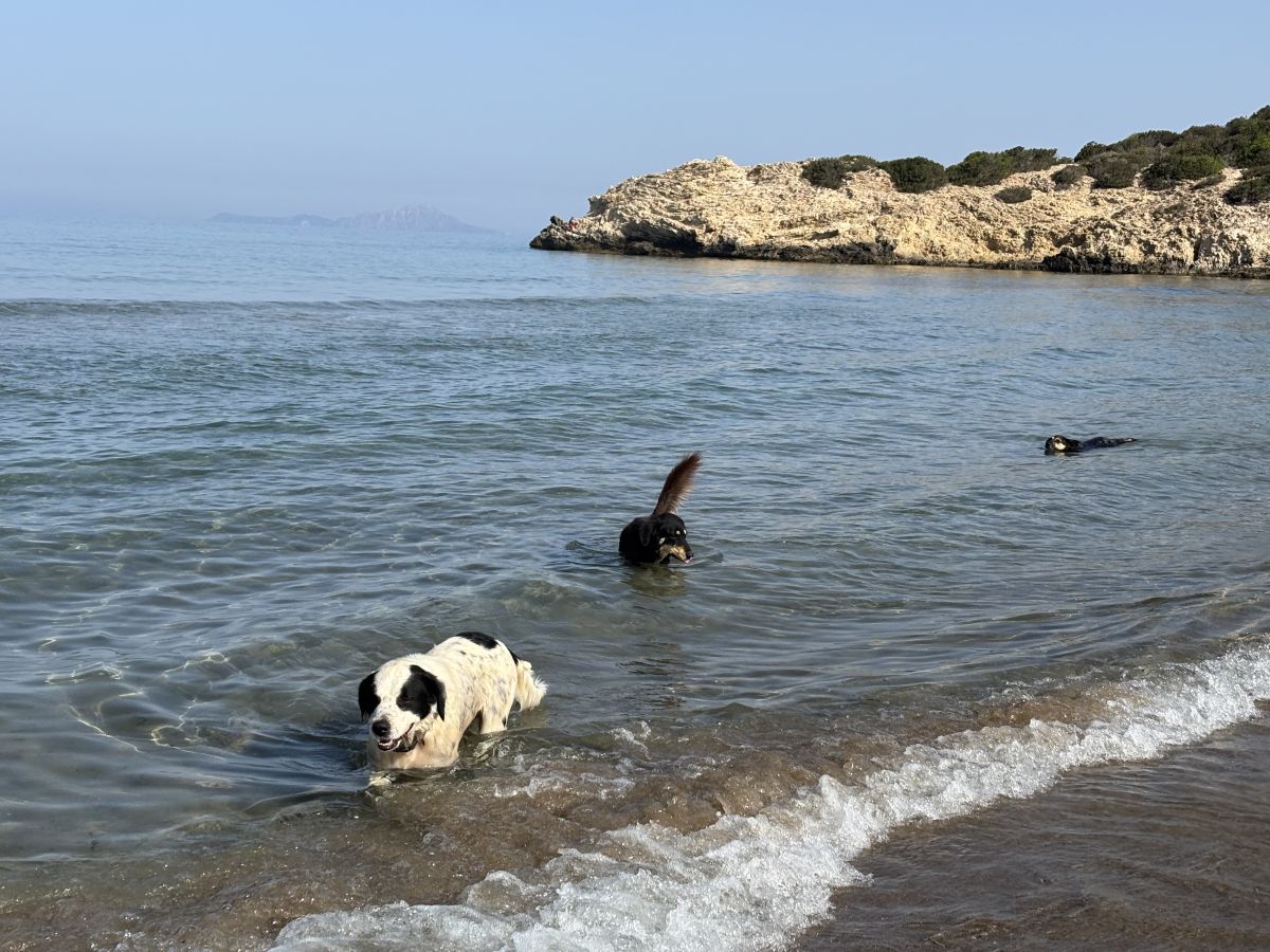 Photos météo à Péloponnèse. Prévisions météo avec de superbes photos de TanaHo