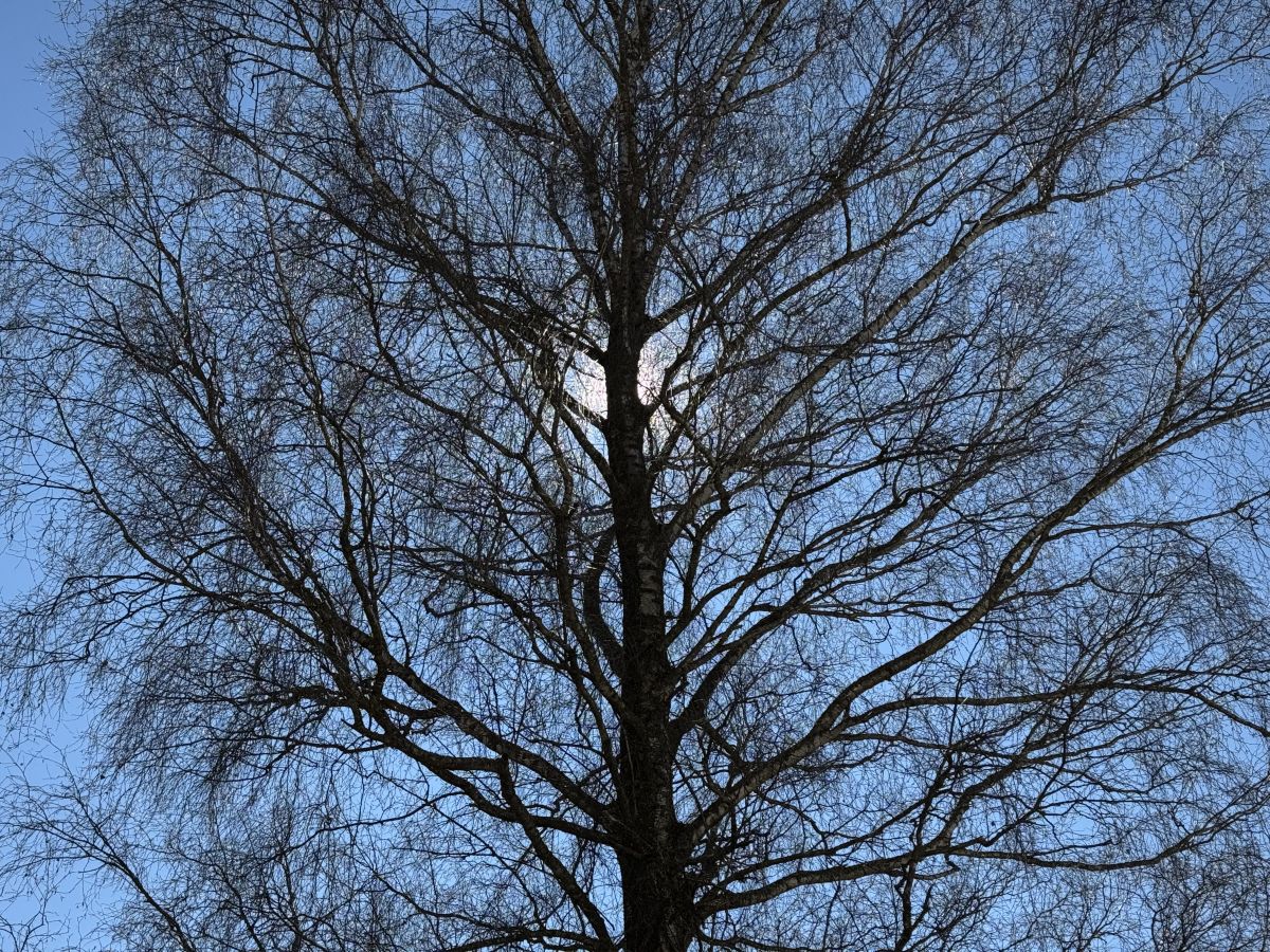 Photos météo à Reconvilier. Prévisions météo avec de superbes photos de SwissEloi