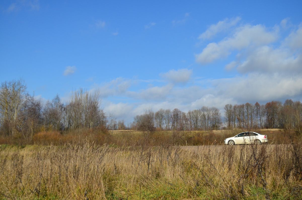 Wetter Photos Welikije Luki. Wettervorhersagen mit schönen Fotos von Krumas