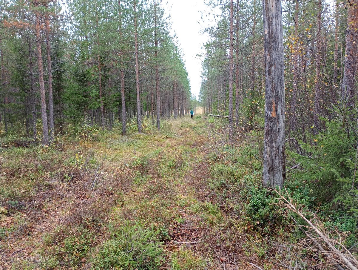 Prévisions météo avec de superbes photos de Juki