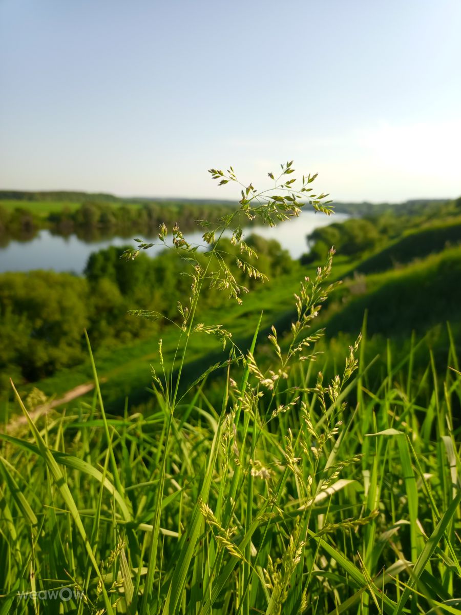 Fotos sobre el clima en Kolomna. Pronósticos del tiempo con hermosas fotos de Evgeniya77