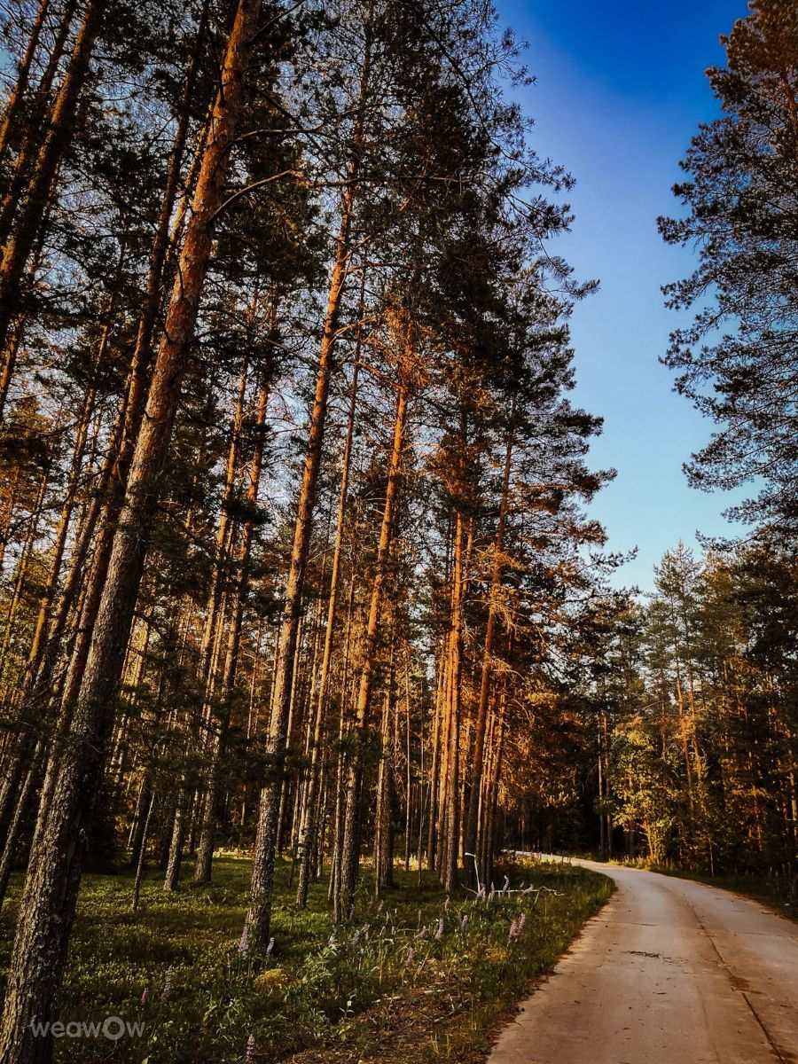 Photos météo à Tver. Prévisions météo avec de superbes photos de Ратибор
