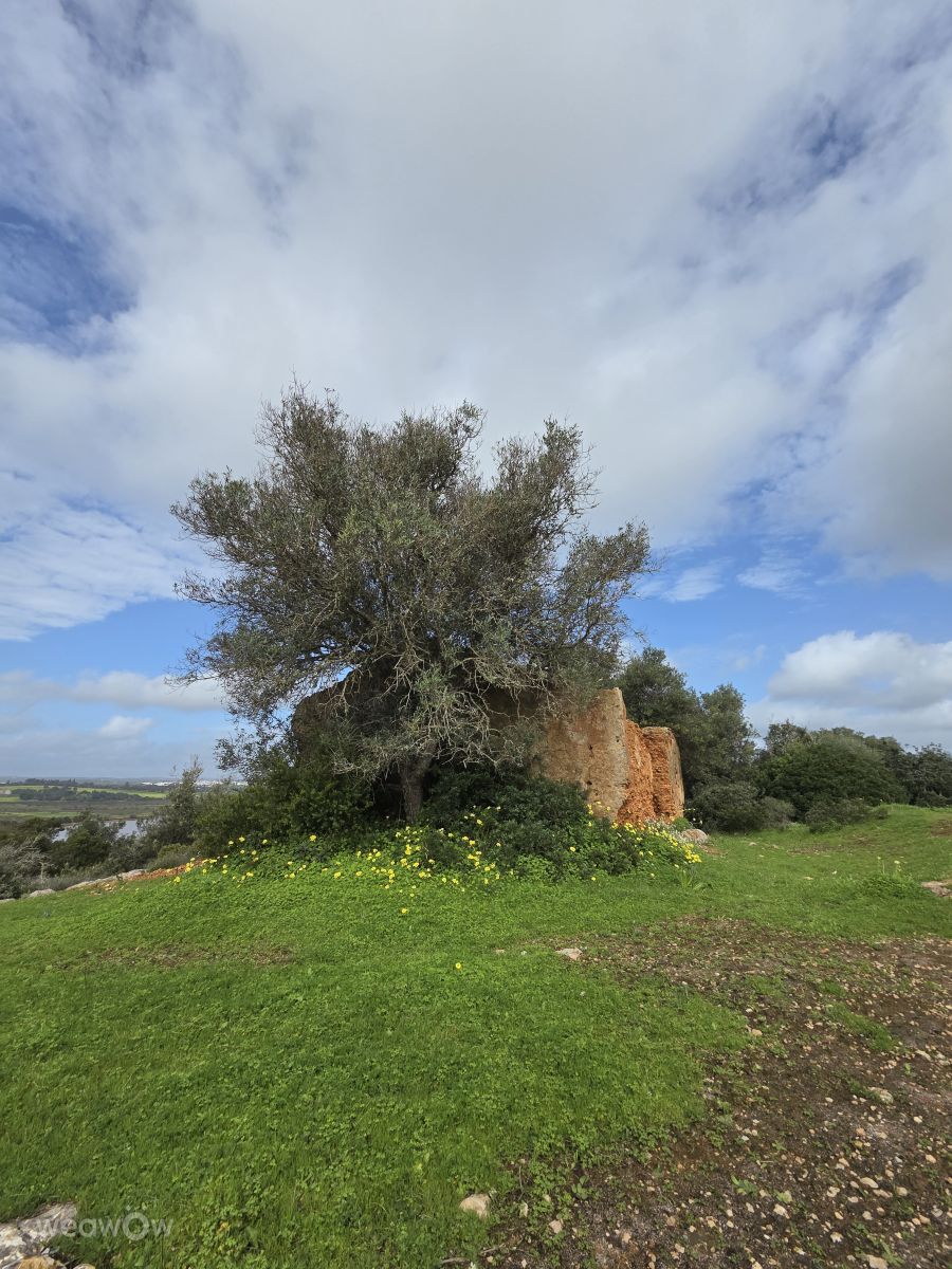 Weather forecasts with beautiful photos by Brtd