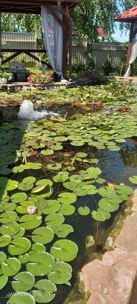 Fotos do tempo em Boyarka. Previsões do tempo com lindas fotos de Aleks Ef