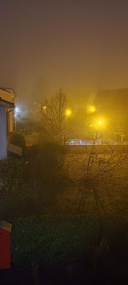 Photographer Tercis, Weather Photos in Ettlingen - Weawow