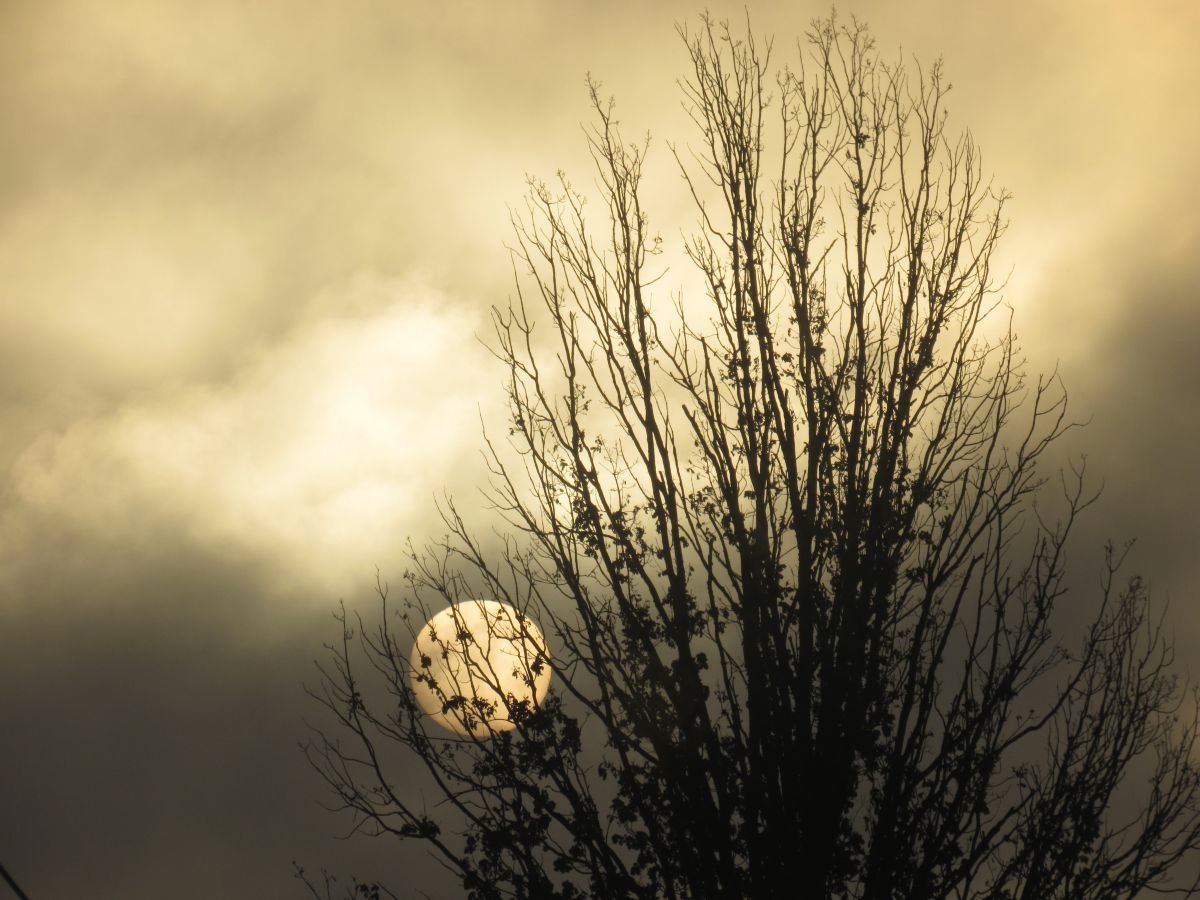Weather Photos in Vitebsk. Weather forecasts with beautiful photos by ЩипинЕвгений