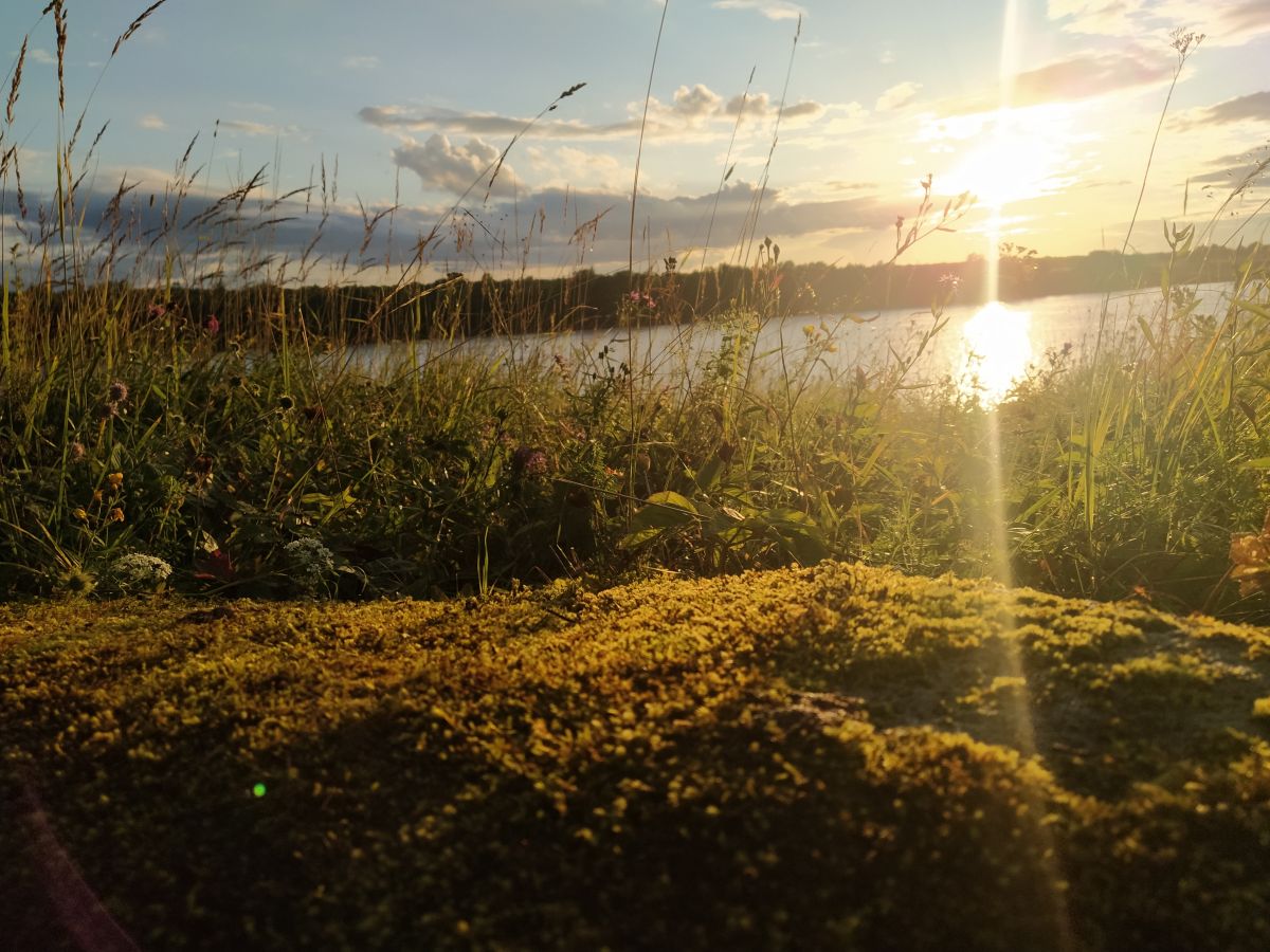 ヴォルホフの天気写真. Flying_Pieの美しい写真による天気予報