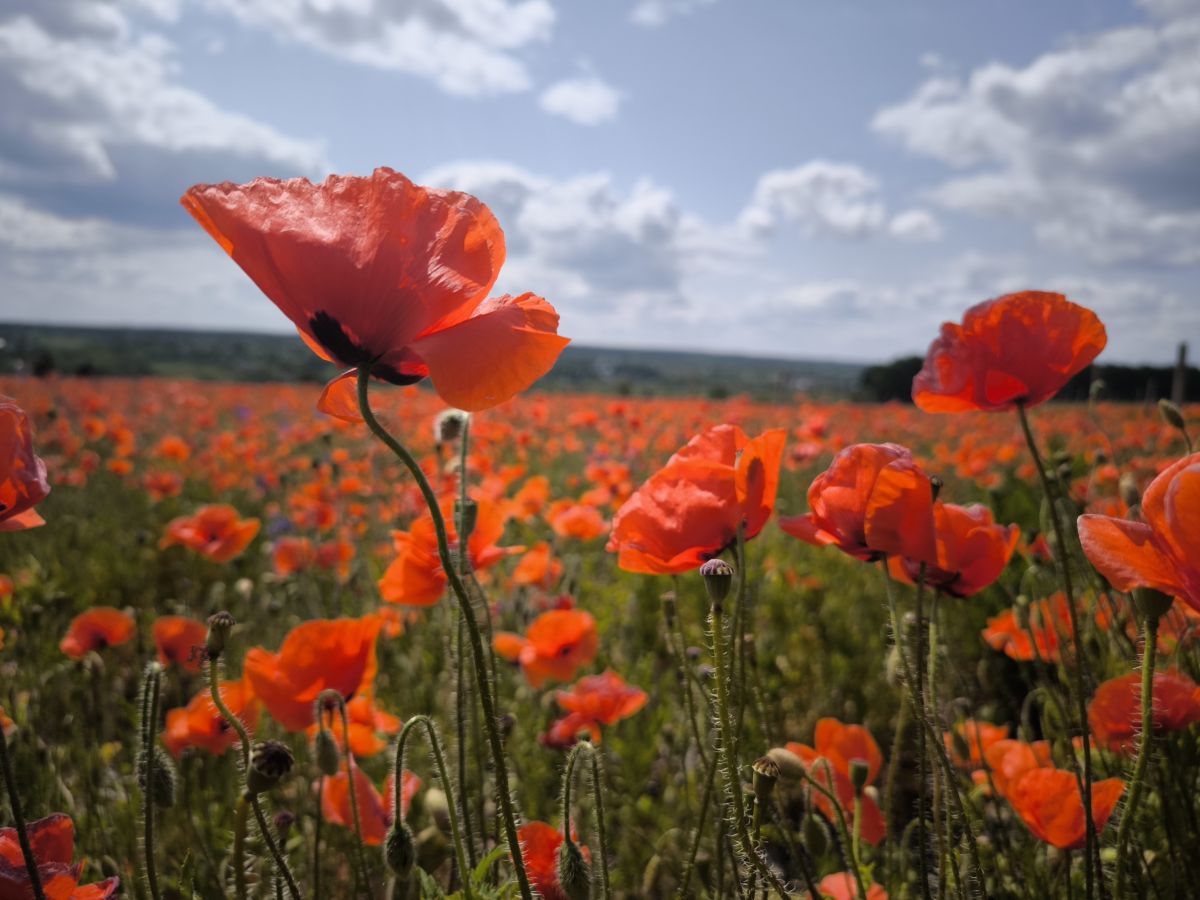 Weather Photos in Vinnytsya Oblast. Weather forecasts with beautiful photos by Archery_0112