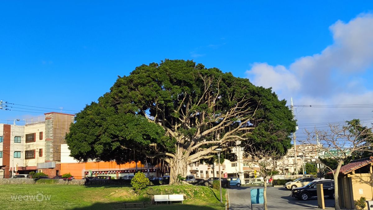 Fotografos Takimi-sky, Fotos do tempo em Lawson - Weawow
