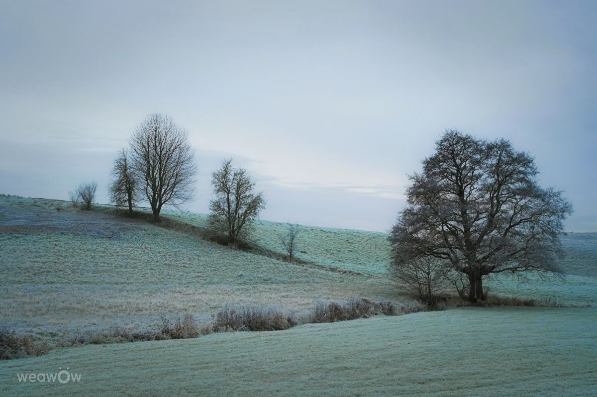 T-Antonioの美しい写真による天気予報
