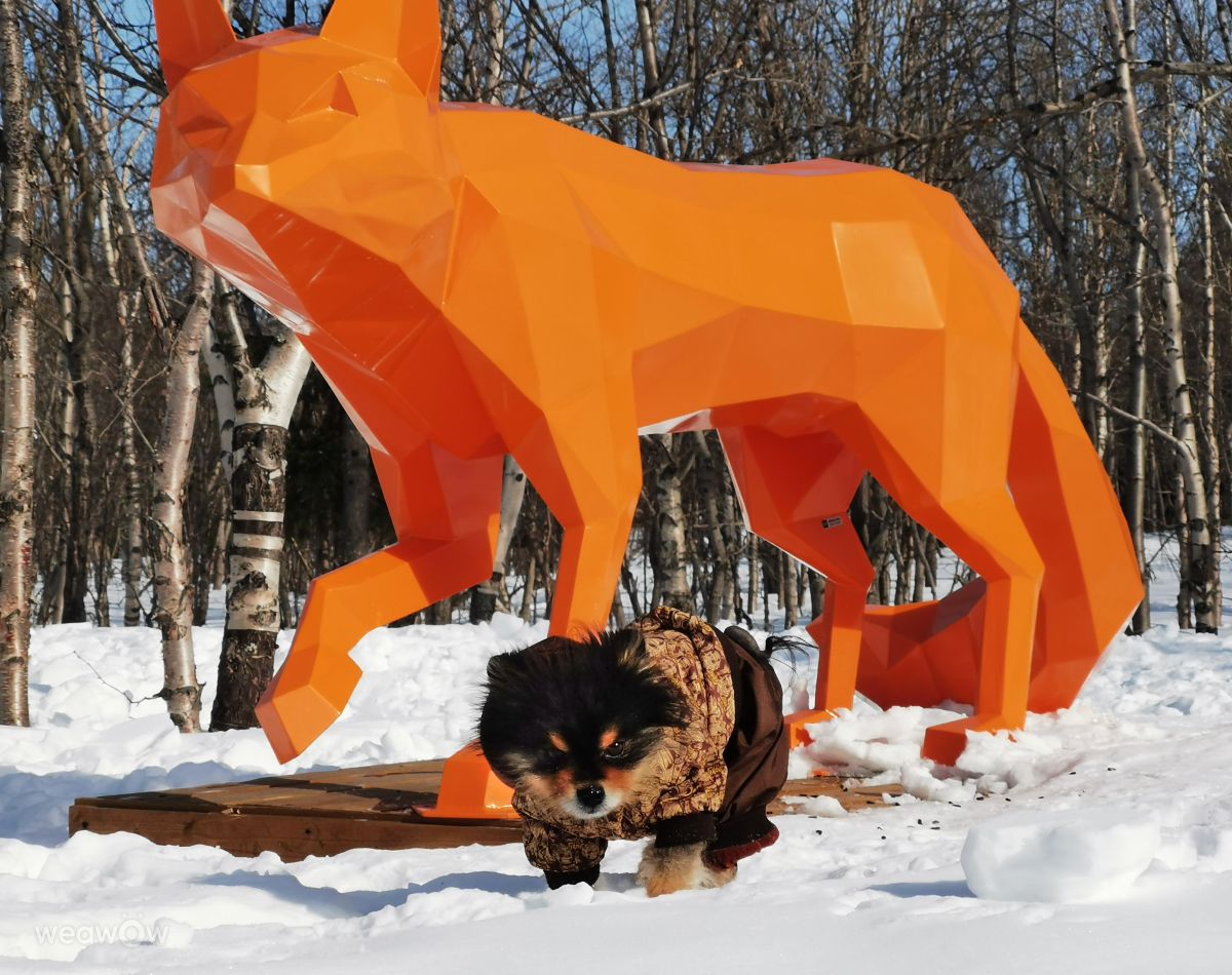 Fotos do tempo em Kirovsk. Previsões do tempo com lindas fotos de Eva_Eva