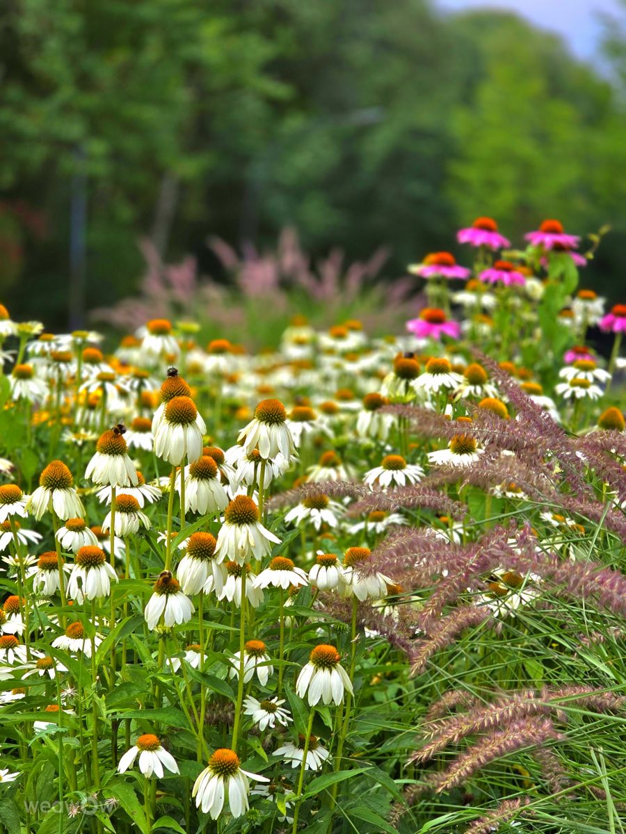 Weather Photos in Velbert. Weather forecasts with beautiful photos by Seni