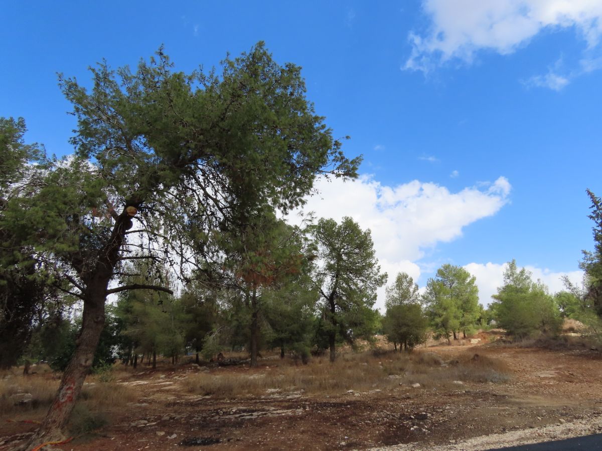 Prévisions météo avec de superbes photos de Sviatoslav