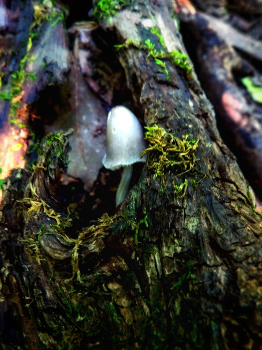 Photos météo à Greenfield. Prévisions météo avec de superbes photos de Traci-McD